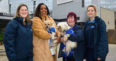 For The Love of Dogs return date confirmed as Alison Hammond takes over from late Paul O’Grady - www.ok.co.uk