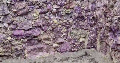 The 'truly mesmerising' Scottish amethyst cave near Edinburgh that everyone should see - www.dailyrecord.co.uk - Scotland
