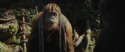 ‘Kingdom Of The Planet Of The Apes’ Solid Previews Around $6M – Thursday Night Box Office - deadline.com