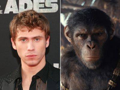 ‘Kingdom of the Planet of the Apes’ Cast Breakdown: See the Actors Who Brought the New Apes to Life Through Motion Capture - variety.com