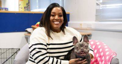 Alison Hammond's For the Love of Dogs future 'uncertain' as ITV bosses 'disappointed' - www.dailyrecord.co.uk