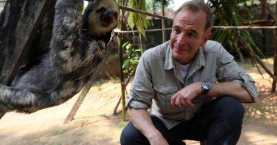 Robson Green stung multiple times after 'stepping on hornets nest' filming new TV show - www.ok.co.uk