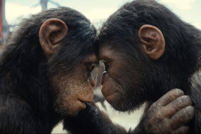 ‘Kingdom of the Planet of the Apes’ Swings to Top Spot Debut at U.K., Ireland Box Office - variety.com - Ireland