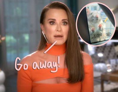 Kyle Richards FREAKS Out Over A RAT On Her Car! Watch The Hilarious Encounter! - perezhilton.com