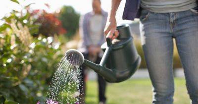 Gardening expert shares exact time of day to water plants to avoid slugs - www.dailyrecord.co.uk