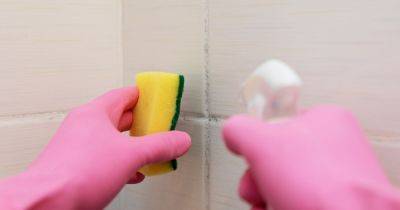 Woman shares 'best' homemade grout cleaner that removes stains in minutes - www.dailyrecord.co.uk