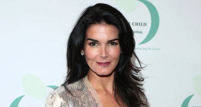 Angie Harmon Sues Instacart & Delivery Driver After Her Dog Was Shot & Killed - www.justjared.com - North Carolina