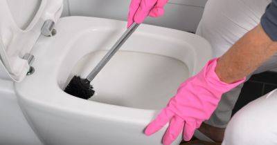 Woman's 'genius' toilet brush cleaning hack will leave it looking 'brand new' - www.manchestereveningnews.co.uk