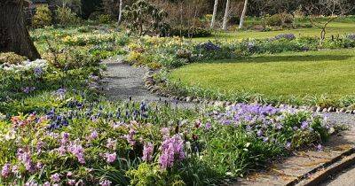 Stewartry gardens set to open to the public for charity - www.dailyrecord.co.uk - Scotland