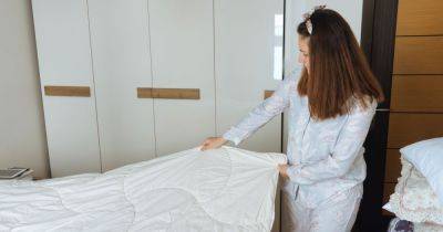 How to properly store winter duvets as experts reveal how to avoid mould and mildew - www.dailyrecord.co.uk
