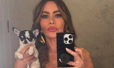 Sofia Vergara introduces her new puppy Amore, after giving full custody of Bubbles to Joe Manganiello - us.hola.com - Colombia