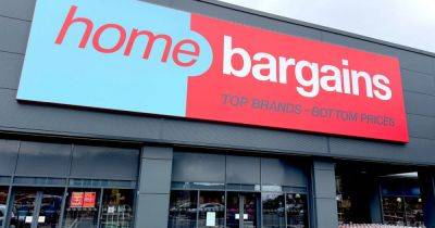 Home Bargains shopper transforms garden with items for less than £200 - www.ok.co.uk