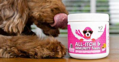 Anti-itch pet treats that 'really do work' now £29 in Amazon sale - www.dailyrecord.co.uk - Beyond
