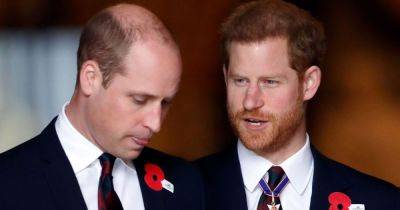 Prince Harry's bid to reconcile with Royal Family branded a 'fantasy' - www.dailyrecord.co.uk - USA
