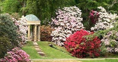 Corsock House Garden to open to the public for charity - www.dailyrecord.co.uk - Scotland