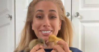 Stacey Solomon wants to buy surprising farm animal following family's newest arrival - www.ok.co.uk