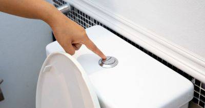 Warning over 'disgusting' nighttime toilet habit that's 'hygiene hazard' - www.manchestereveningnews.co.uk