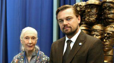 Leonardo DiCaprio & Jane Goodall To Exec Produce ‘Howl’ From Promethean Pictures: Live-Action Film About A Dog And Wolf’s Survival Journey Will Be Told From The Animals’ Perspective - deadline.com