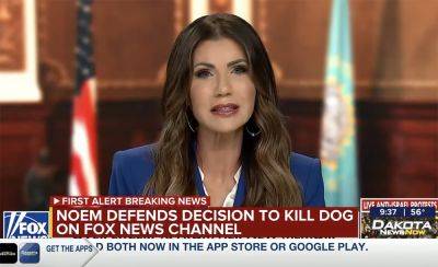 Kristi Noem Tries To Make Story Better By Insisting She Didn't Kill A 'Puppy'... Just A Very Young Dog... - perezhilton.com - USA - state South Dakota