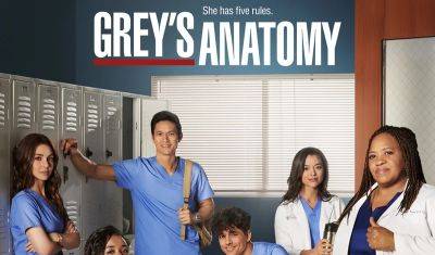 'Grey's Anatomy' Season 21 Cast Updates: 2 Actors Leaving, 16 Stars Expected to Return With a Catch - www.justjared.com