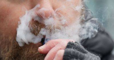 Chemicals in flavoured vapes could be highly toxic when heated, says new study - www.dailyrecord.co.uk - Ireland - Japan