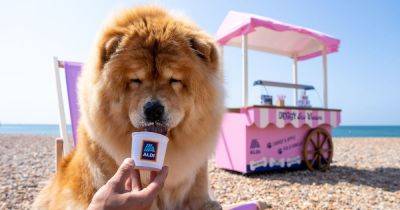 Aldi brings back sell-out doggy ice cream for the summer - but pet owners must act fast - www.manchestereveningnews.co.uk - Britain