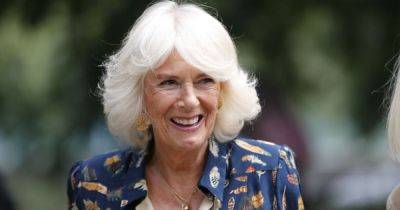 Queen Camilla's favourite TV show as well as what Prince William and Prince George like to watch - www.dailyrecord.co.uk - Britain - county Harper