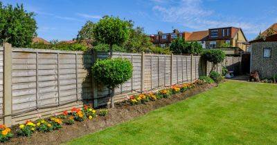 How to tell which garden fence is yours and who is responsible for repairs - www.dailyrecord.co.uk - Birmingham - city Jackson