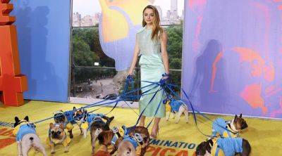 Joey King Brings a Pack of Minions (aka French Bulldogs) to 'Despicable Me 4' NYC Premiere! - www.justjared.com - France - New York
