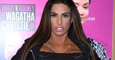 Katie Price gives fans update after terrifying burglary - 'He stole a car load' - www.ok.co.uk