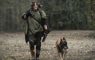 Norman Reedus pays tribute after ‘The Walking Dead’ dog actor dies: “Best TV buddy ever” - www.nme.com - county Collin - county Lynn