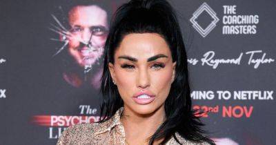 Katie Price reveals huge career change – and she's being trained by a violent psychopath - www.ok.co.uk