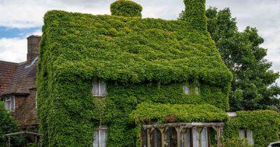 Tourists flock from all over the country to see house covered entirely in ivy - www.manchestereveningnews.co.uk - Virginia