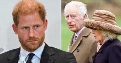 Harry's swipe at Queen Camilla with cruel two-word nickname - www.dailyrecord.co.uk