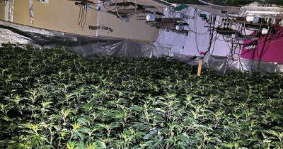 Huge £5 MILLION cannabis farm uncovered in unused building - www.manchestereveningnews.co.uk - Manchester - city Stockport