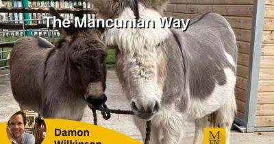 The Mancunian Way: Donkey dilemma - www.manchestereveningnews.co.uk - Britain - county Garden - city Sanctuary