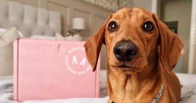 Anyone with a dog can get 'free treats for life' with little-known discount code - www.manchestereveningnews.co.uk