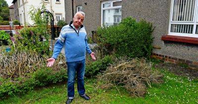 Tory councillor rips out autistic neighbour’s beloved hedge despite her pleas to stop - www.dailyrecord.co.uk - Scotland