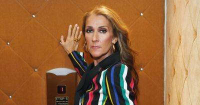 Celine Dion gives health update - 'I don't know if I'll be able to sing again' - www.ok.co.uk - Las Vegas
