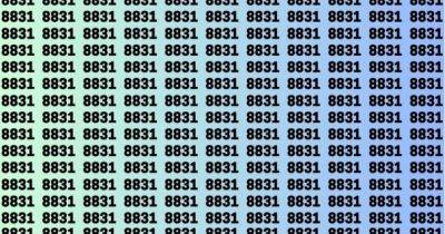 Can you find hidden number 8881 in just 12 seconds? Test your observation skills - www.dailyrecord.co.uk - Scotland