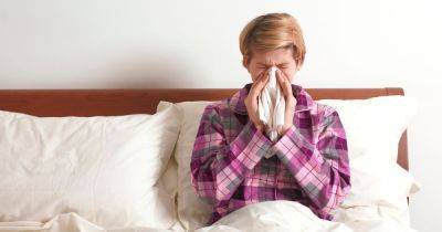 Sleep expert's simple tip to help reduce symptoms of hay fever at night - www.manchestereveningnews.co.uk - Britain