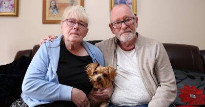 Heartbreak as couple's beloved terrier dies after being mauled by 'XL bully-type' dog - www.manchestereveningnews.co.uk - Manchester