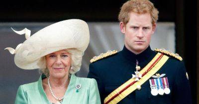 Prince Harry's cruel swipe at Queen Camilla with two-word nickname - www.ok.co.uk