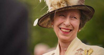 Princess Anne's little-known source of support after scary accident 'with a horse' - www.ok.co.uk - Australia - Britain - New Zealand - Los Angeles - USA - Hawaii - Indiana - city Sandy - county Phillips