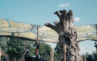 Glastonbury 2024: Check out the new outdoor Tree Stage at Woodsies - www.nme.com