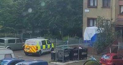 Man in critical condition after 'falling from window' at Edinburgh flats - www.dailyrecord.co.uk - Scotland
