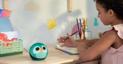 Grab the Amazon Echo Dot Kids with a free year of Amazon Kids+ for £35 - www.ok.co.uk
