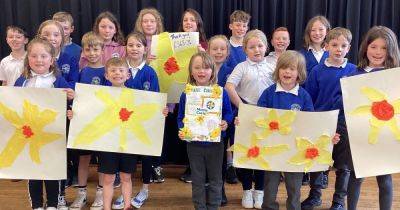 Crossmichael Primary pupils organise successful daffodil tea for Marie Curie - www.dailyrecord.co.uk