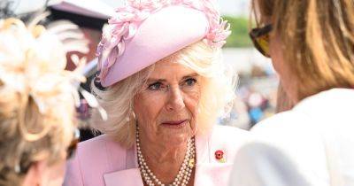 The sweet and powerful reason Queen Camilla wore pink to D-Day anniversary event - www.ok.co.uk - Britain - France
