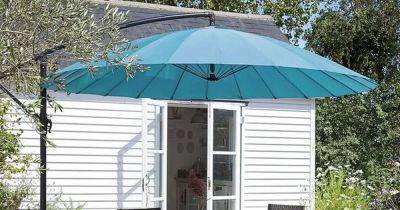 Dunelm's peacock parasol is a bargain at half-price as shoppers rave about stunning look - www.ok.co.uk - city Shanghai
